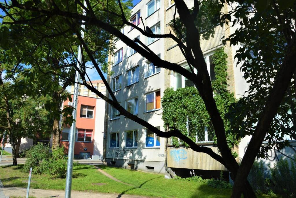 Slucko Central Studio Apartment Near River Vilnius Ngoại thất bức ảnh